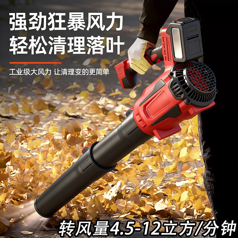 Original Lithium-ion Leaf Blow - огляд і ціна Outdoor Power Tool Kit